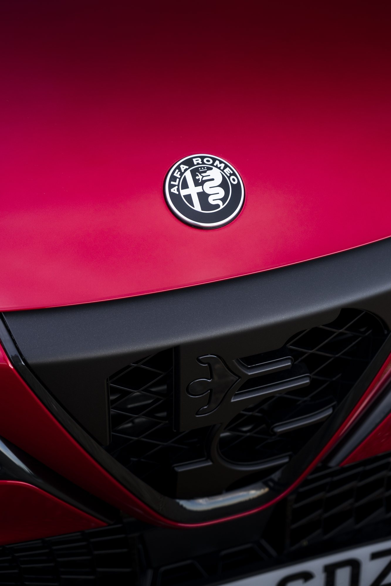 The Alfa Romeo badge on the Junior's shield