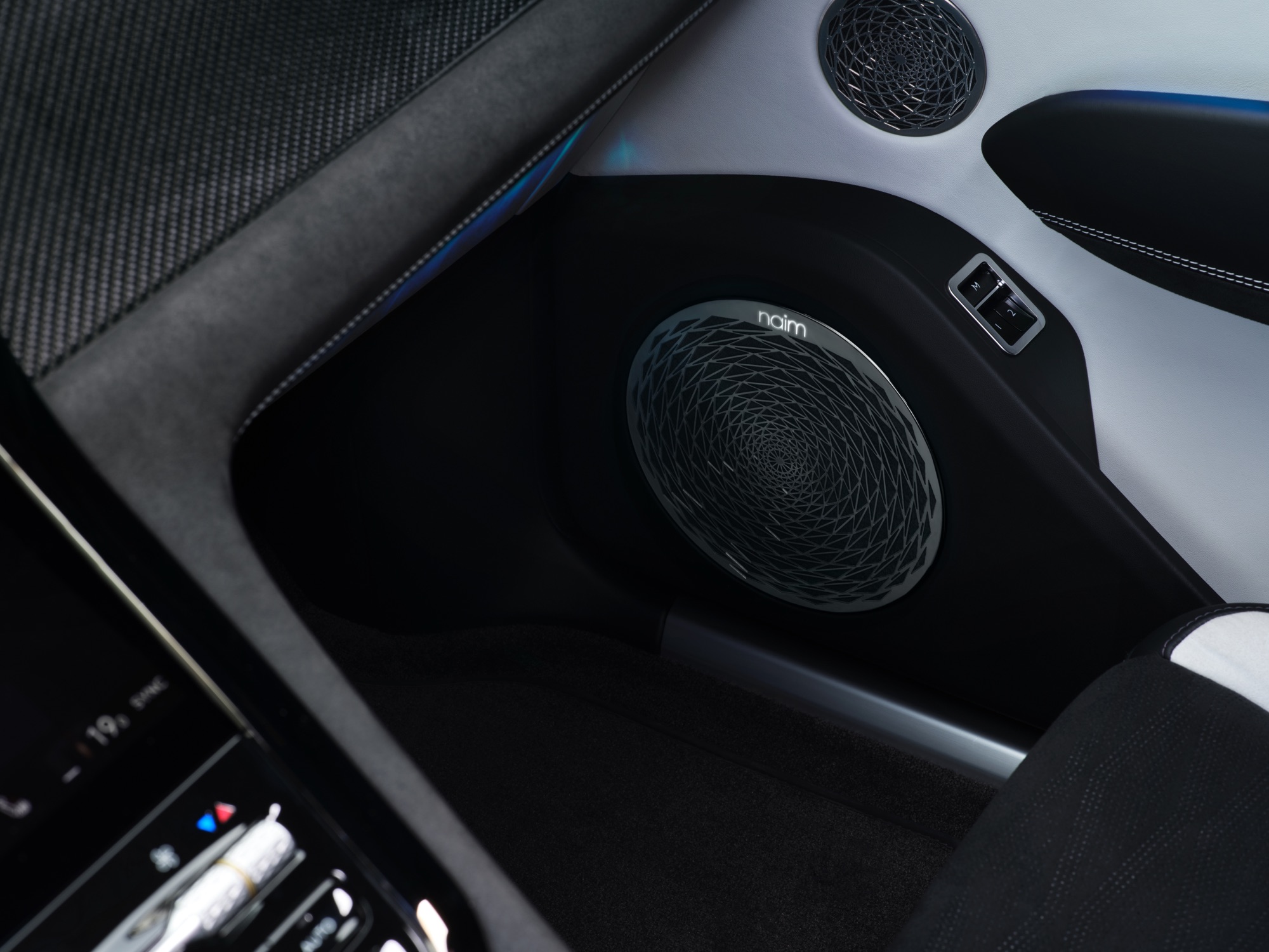 A Naim speaker in the door