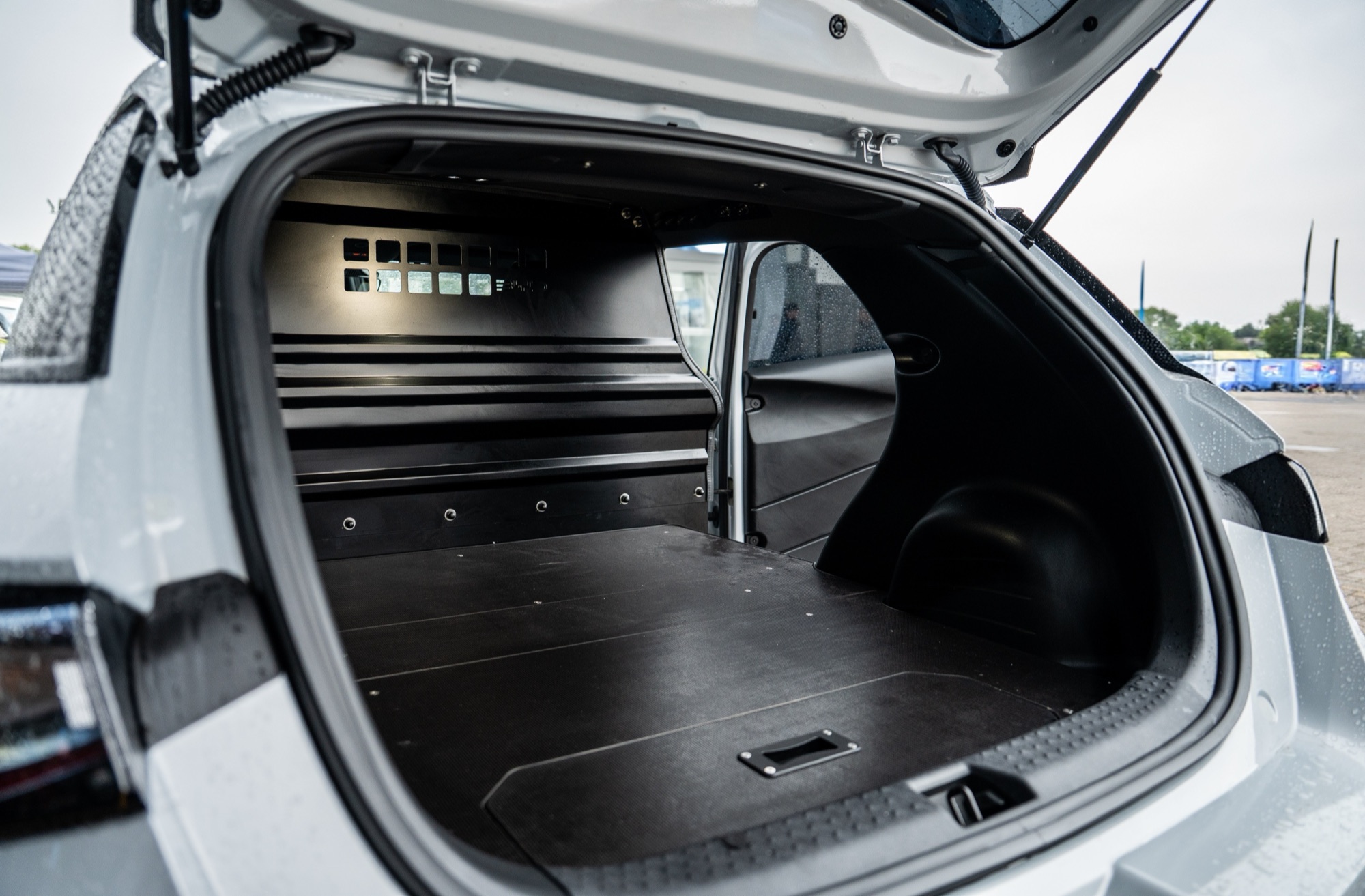 BYD DOLPHIN Cargo e-Van