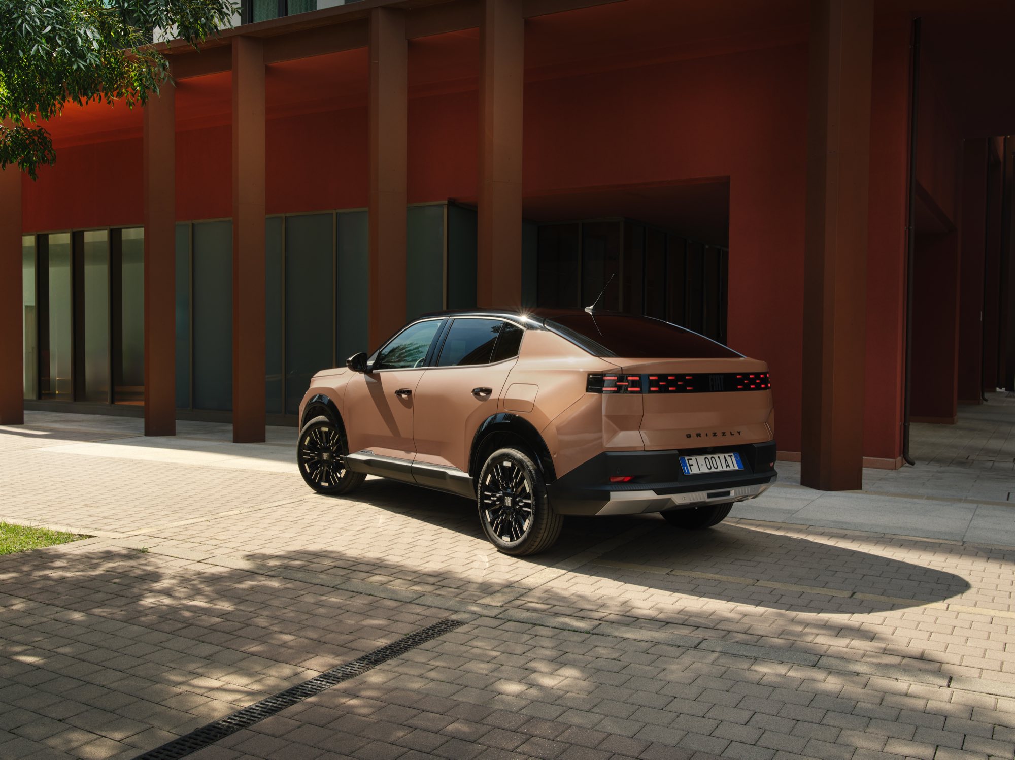 Grizzly Fastback from behind, with its sloping tail