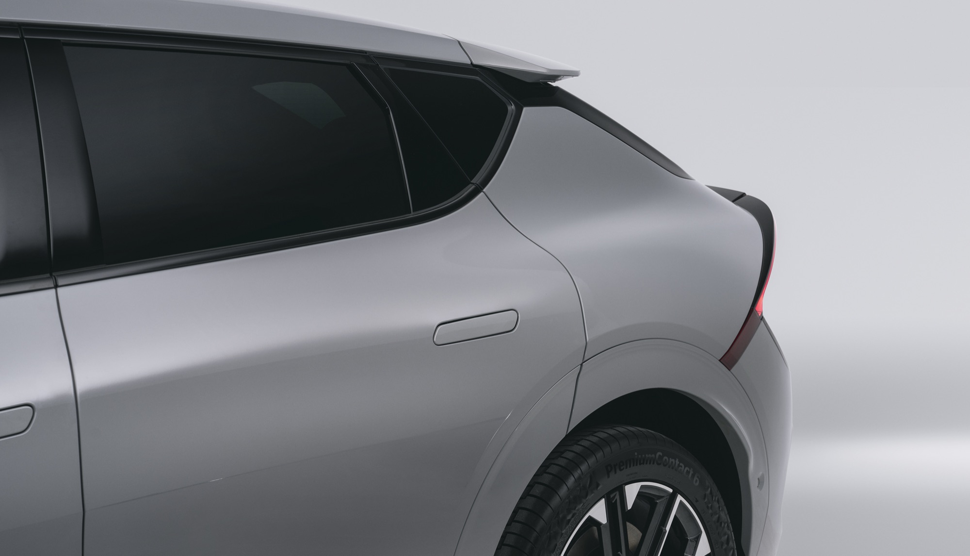The rear door and haunch