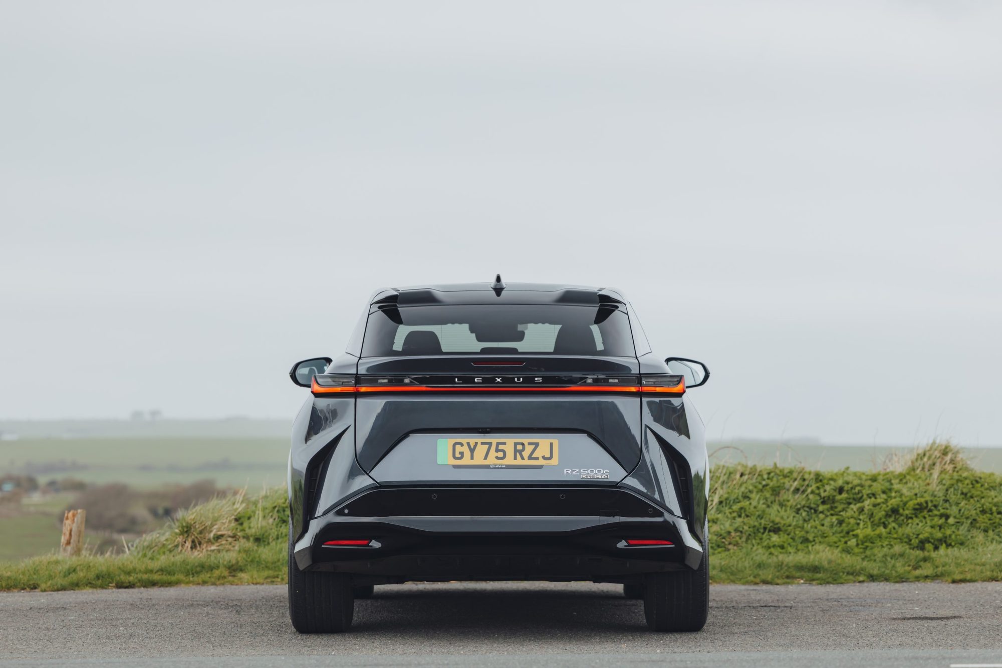 Lexus RZ, from behind