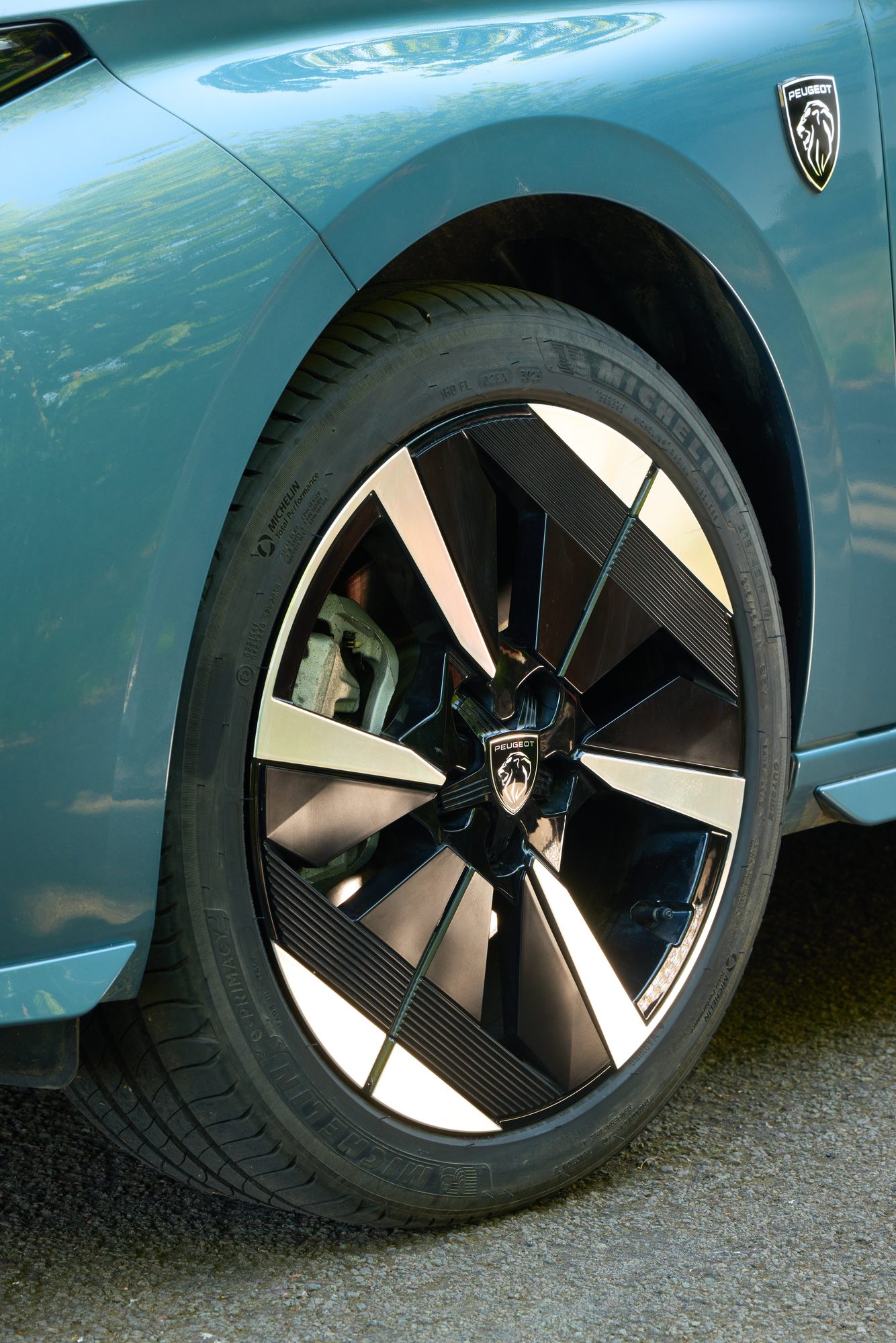 A detail of the e-308