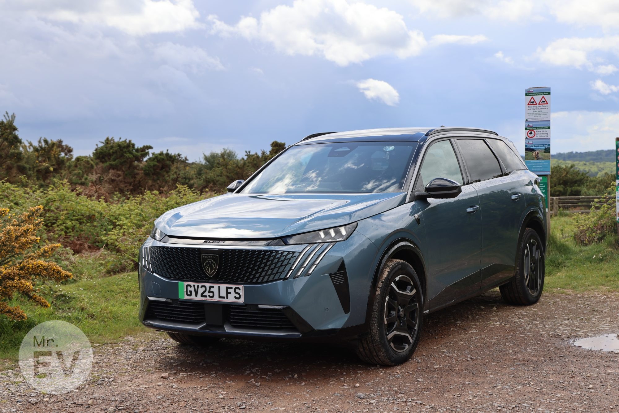 The Peugeot E-5008