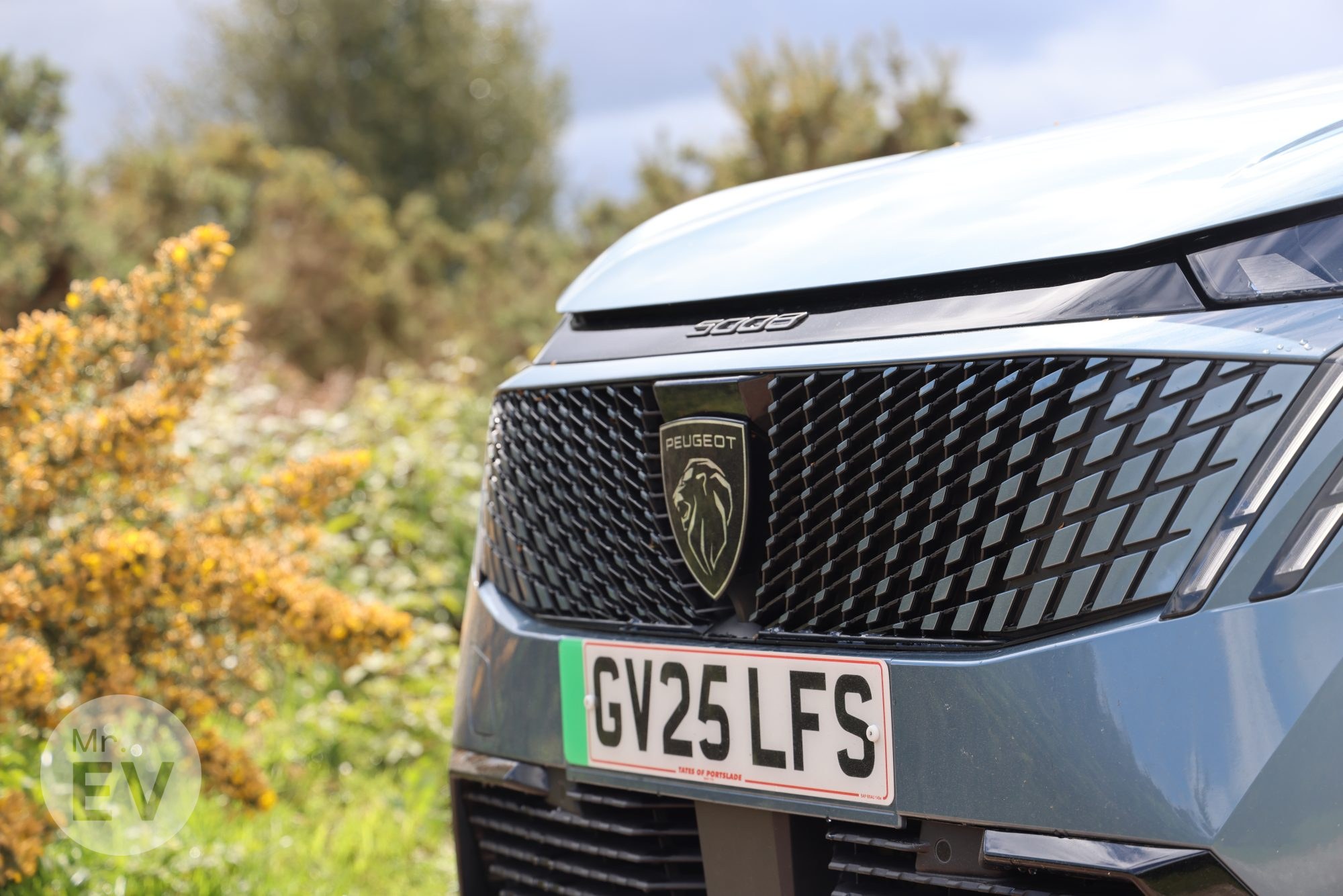 The E-5008's grille and light signature