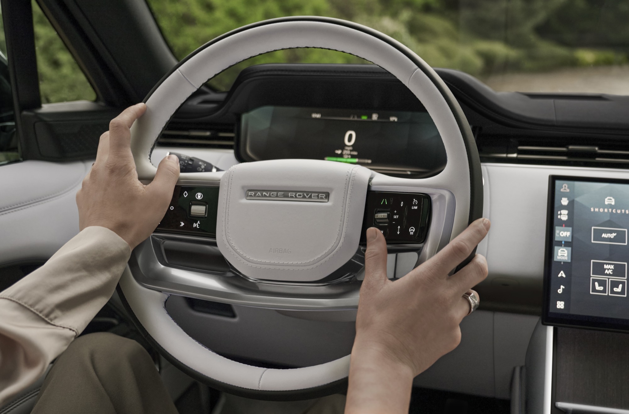 The steering wheel and driver display