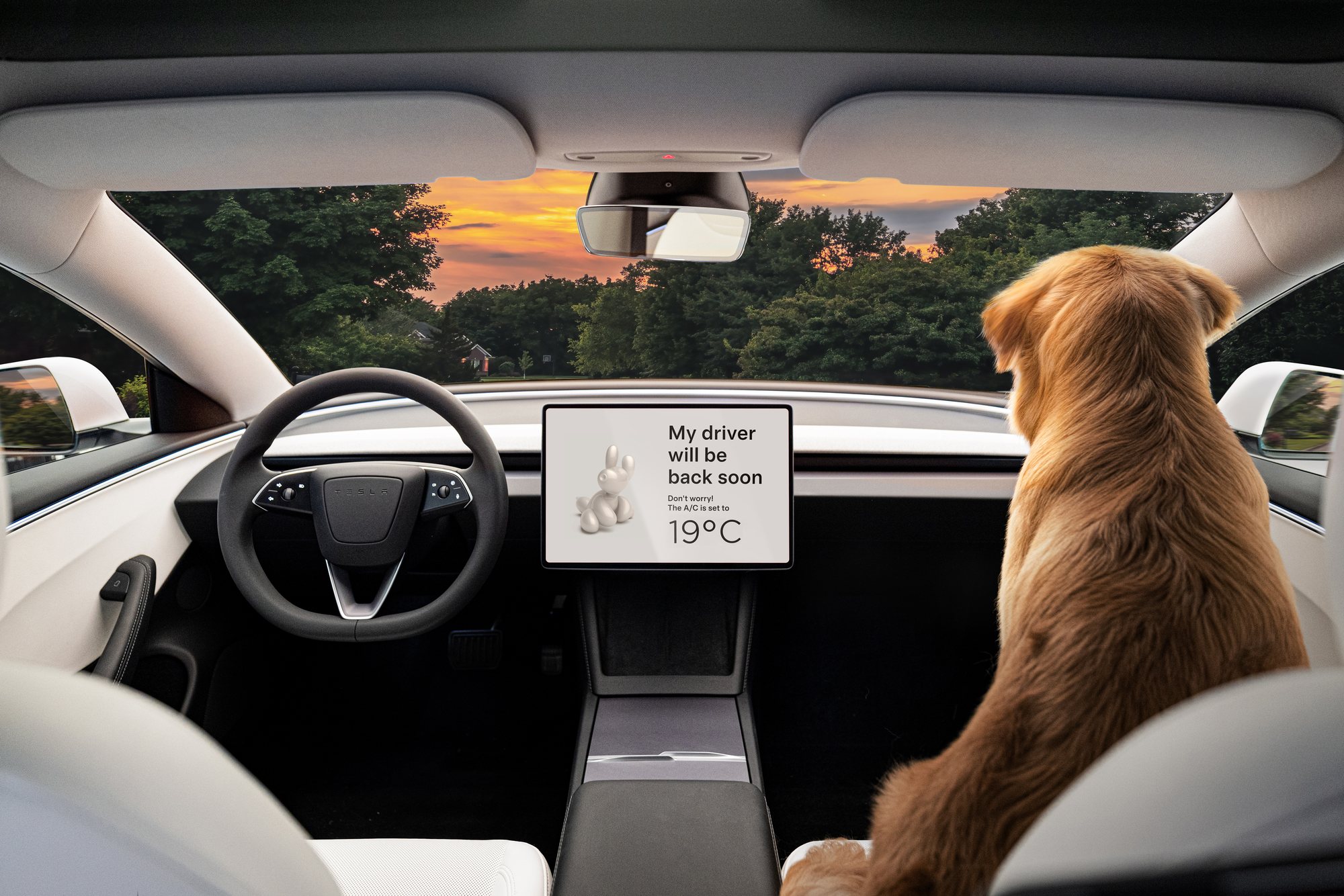 Dog Mode on the Model 3's screen