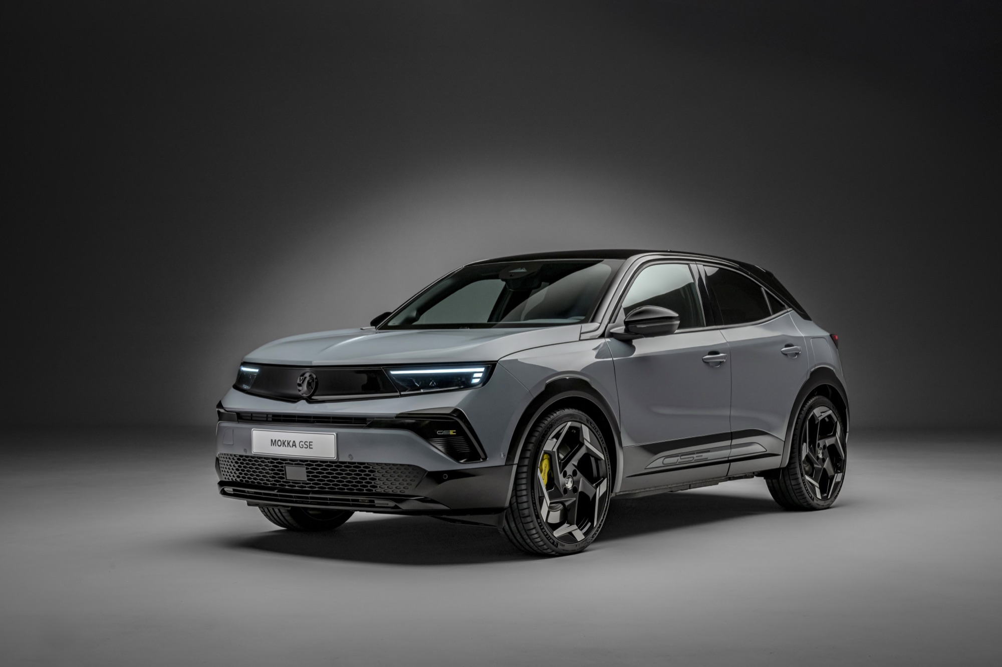 The Mokka GSE