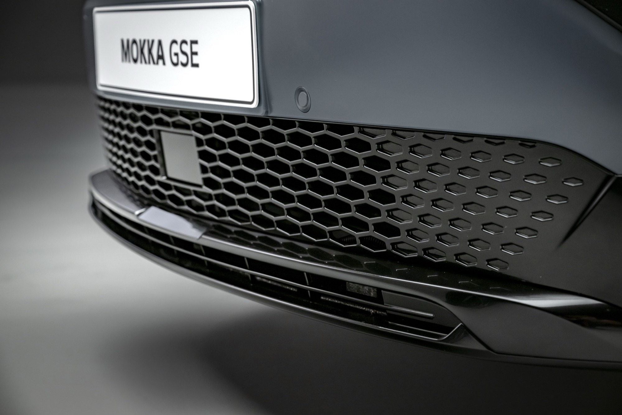 The lower grille